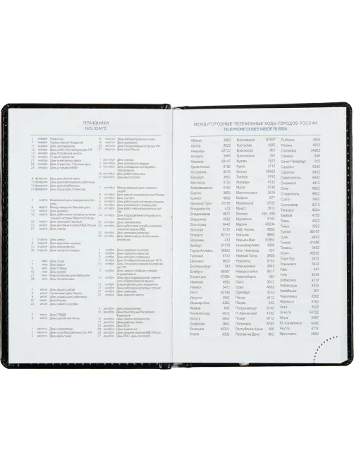 Ежедневник недатированный черн, А6, 100x150, 320стр, Agenda