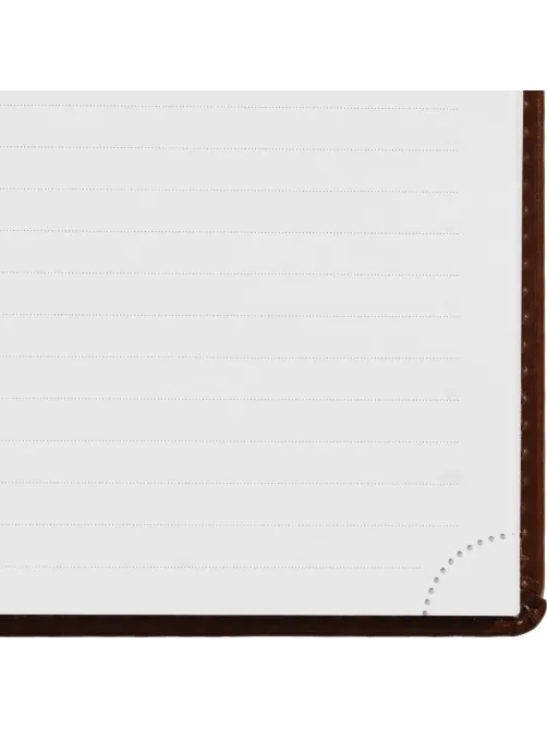 Ежедневник недатированный коричн, А5, 148x218, 352стр, Agenda