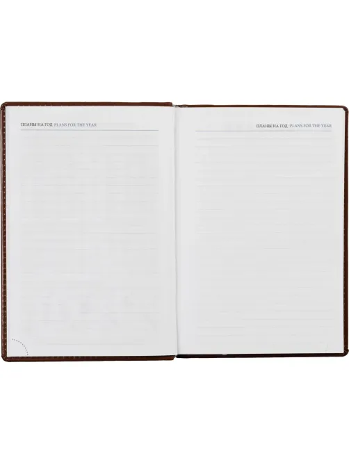 Ежедневник недатированный коричн, А5, 148x218, 352стр, Agenda
