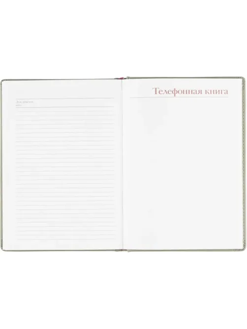 Ежедневник недатированный А5+, 136л, VELVET светло-серый  3-115/28
