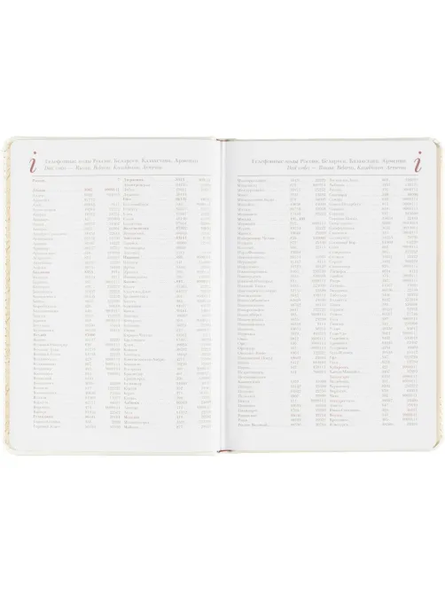 Ежедневник недатированный белый,А5,145х205мм,136л, Sidney NEBRASKA 3-128/06