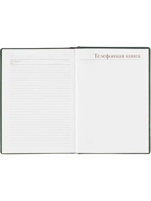 Ежедневник недатированный А5+ Velvet, темно-зеленый 3-115/24