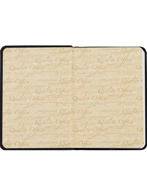 Ежедневник недатированный А6+ 112 х 155 мм Velvet черный 272 стр. 3-495/04