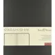 Ежедневник недатированный А5, 136л, MEGAPOLIS FLEX черный 3-531/04