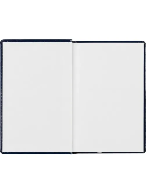 Ежедневник недатированный синий, А6,100x150, 320стр, Agenda