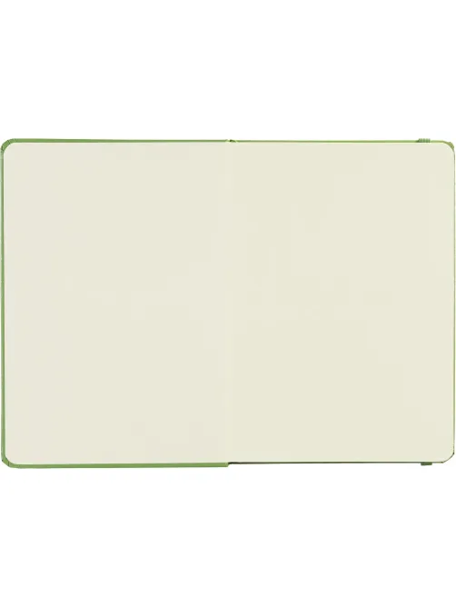 Ежедневник недатированный зеленый, А5 136 л., Dairy, ATTACHE