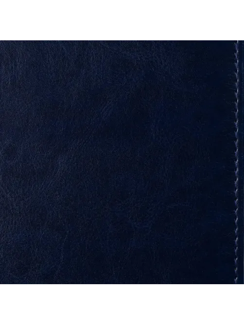 Ежедневник недатированный синий, А5, 148x218, 352стр, Agenda