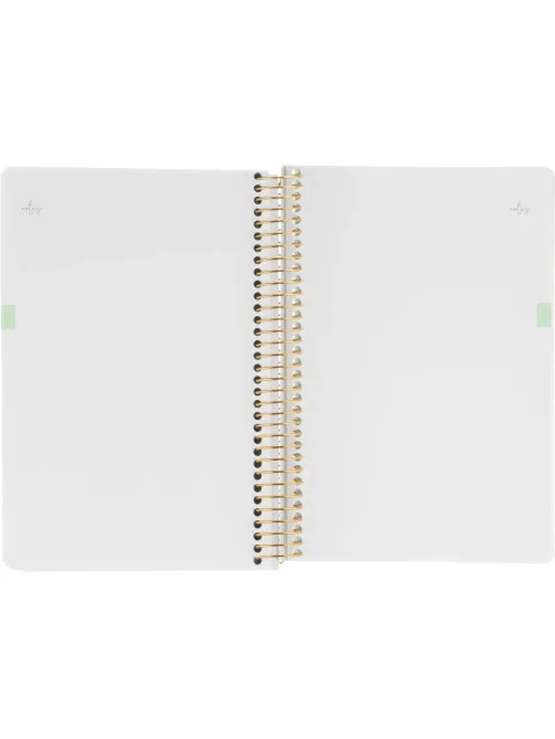 Ежедневник недатированный CUTE DIARY А5,BV,136,ИРИСЫ, зол.греб, 3-701/15