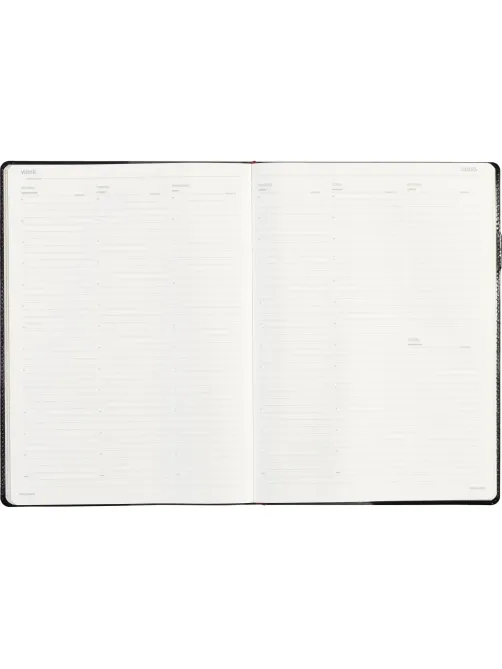 Еженедельник недатированный черный,кожа,A4 64л,Br.V.PROFY 3-098/02
