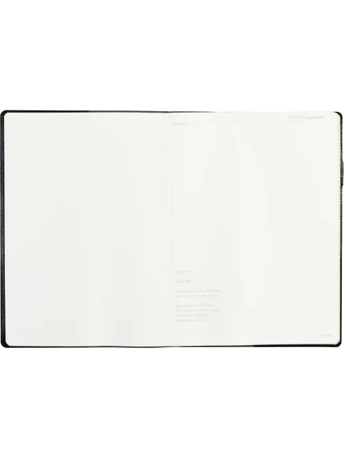 Еженедельник недатированный черный,кожа,A4 64л,Br.V.PROFY 3-098/02