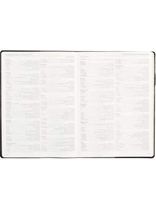 Еженедельник недатированный черный,кожа,A4 64л,Br.V.PROFY 3-098/02