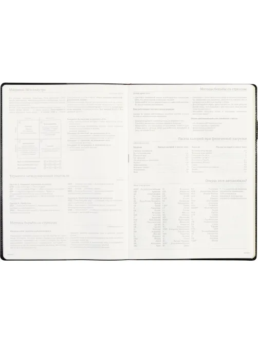 Еженедельник недатированный черный,кожа,A4 64л,Br.V.PROFY 3-098/02