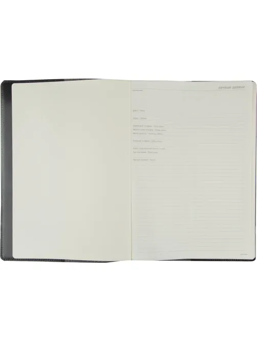 Еженедельник недатированный черный,кожа,A4 64л,Br.V.PROFY 3-098/02
