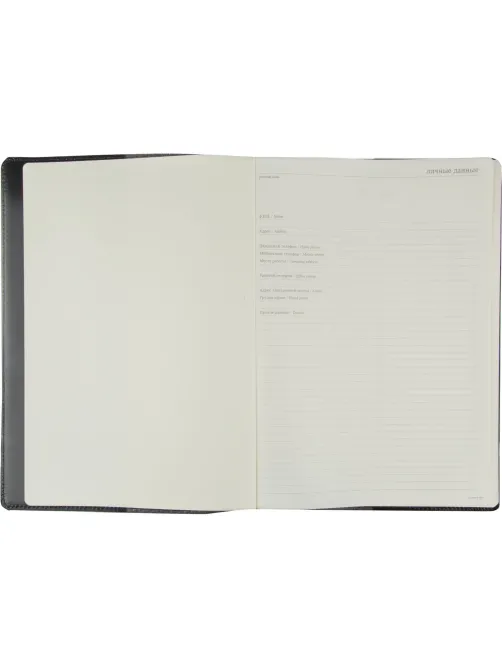 Еженедельник недатированный черный,кожа,A4 64л,Br.V.PROFY 3-098/02