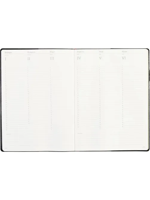 Еженедельник недатированный черный,кожа,A4 64л,Br.V.PROFY 3-098/02