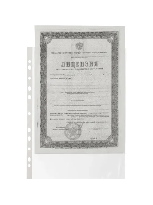 Файл-вкладыш А4 22-25мкм Выбор есть, гладкие, с перф, 100шт./уп