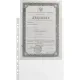 Файл-вкладыш А4, 40мкм, Attache, с перфорацией, гладкий 100 шт/уп