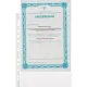 Файл-вкладыш А4, гладкие 30мкм, 100шт/уп