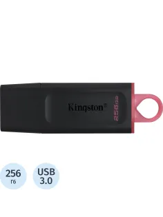 Флеш-память Kingston DataTraveler Exodia, USB 3.2 G1, роз/чер, DTX/256GB