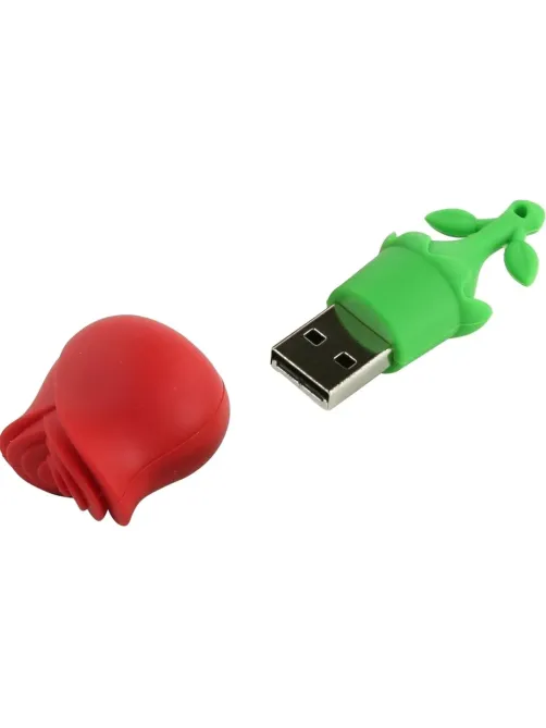 Флеш-память  Smartbuy Wild series, 32Gb, USB 2.0, роза, SB32GBRose