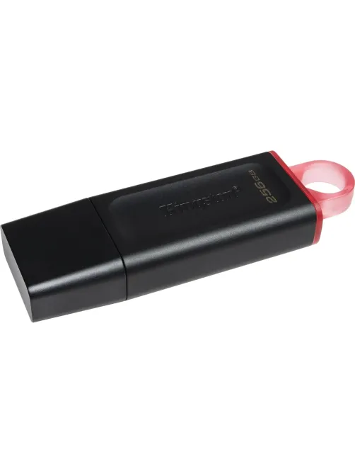 Флеш-память Kingston DataTraveler Exodia, USB 3.2 G1, роз/чер, DTX/256GB
