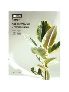 Рамка КЛИП 30х40
