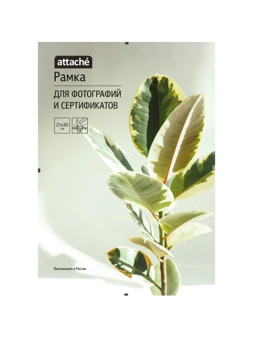 Рамка Комус/ATTACHE КЛИП 21х30