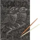 Гравюра Скретчинг МИКС 18x24 см птички, набор МУЛЬТИ АРТ SCRMIX-115406