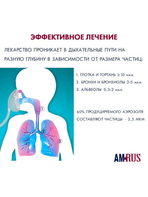 Ингалятор компрессорный компактный AMRUS AMNB-501
