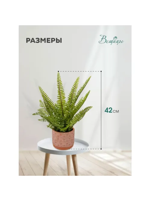 Растение Цветок искусственный Папоротник керам горшке, Д120 Ш120 В420,Mia12