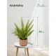 Растение Цветок искусственный Папоротник керам горшке, Д120 Ш120 В420,Mia12