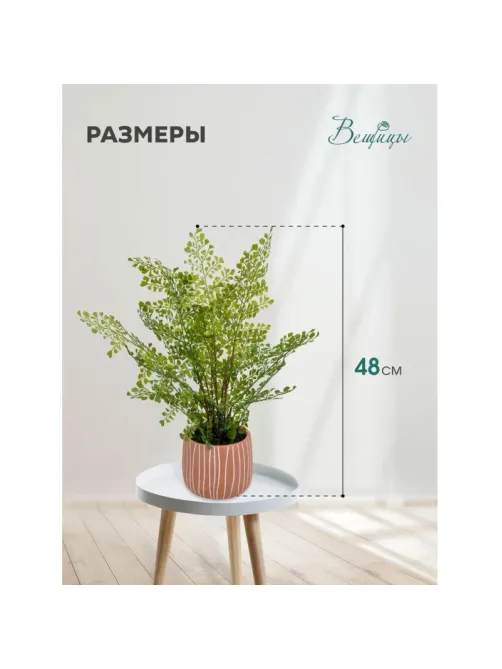 Растение Цветок искусс.Папоротник курчавый керам горшке,Д120Ш120 В480,Mia11