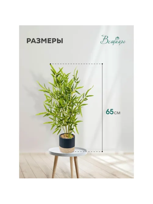 Растение Цветок искусственный Бамбук в цемент.горшке, Д125 Ш125 В650,Mia5