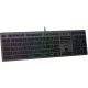 Клавиатура A4Tech Fstyler FX60 серый USB slim LED (FX60 GREY / NEON)