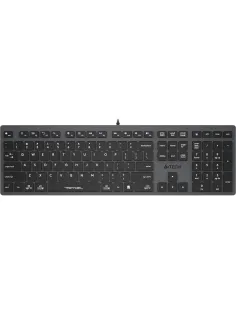 Клавиатура A4Tech Fstyler (FX50 GREY) серый USB slim Multimedia