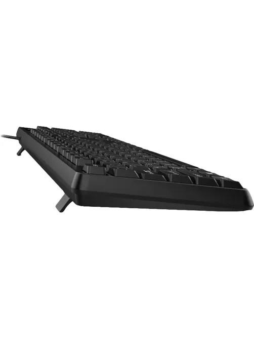 Клавиатура Genius KB-117 (USB, RU), Black       (31310016402)