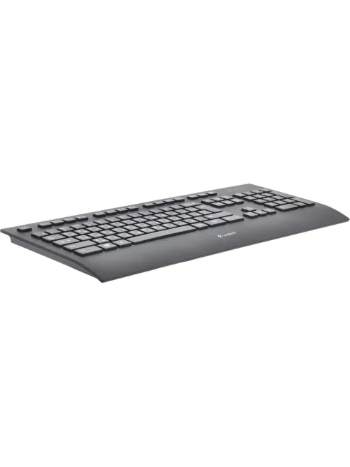 Клавиатура Logitech K280e черный USB (920-005215)