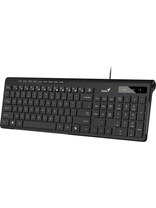 Клавиатура Genius проводн. SlimStar 230II черный