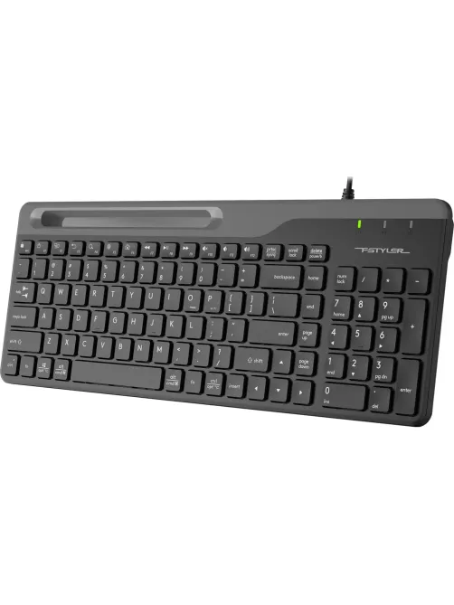 Клавиатура A4Tech Fstyler FK25 черный USB slim
