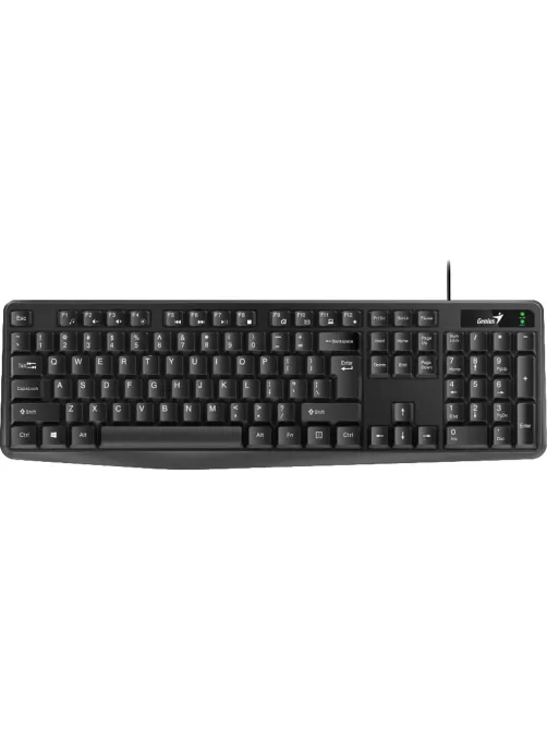 Клавиатура Genius KB-117 (USB, RU), Black       (31310016402)