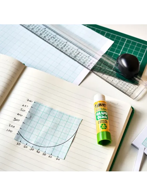 Клей-карандаш BIC ECOlutions 21 гр. 8923452 