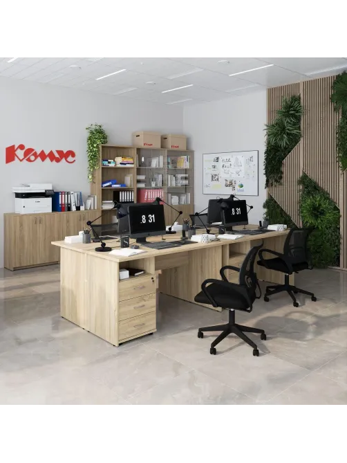 Двери Easy One ЛДСП (2шт.) 908847 дуб сонома В760