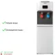 Кулер для воды HotFrost V115  компрессорный