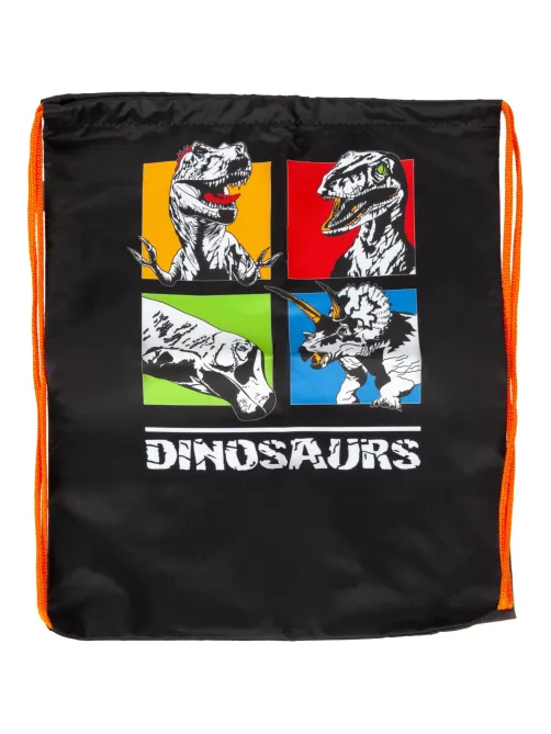 Мешок для обуви Dinosaurs, 330x420 мм, МО-20