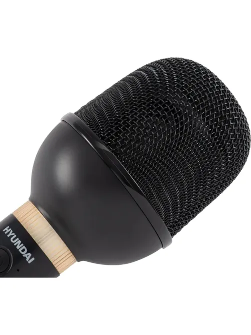 Микрофон Hyundai H-MIC101, черный, беспроводной