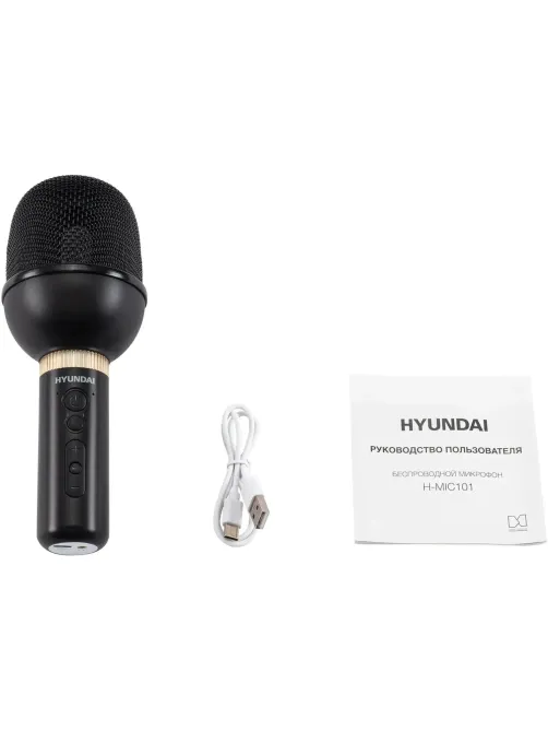 Микрофон Hyundai H-MIC101, черный, беспроводной