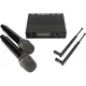 Радиосистема Axelvox DX800FK, 2-х канальная, 2 ручных мкф