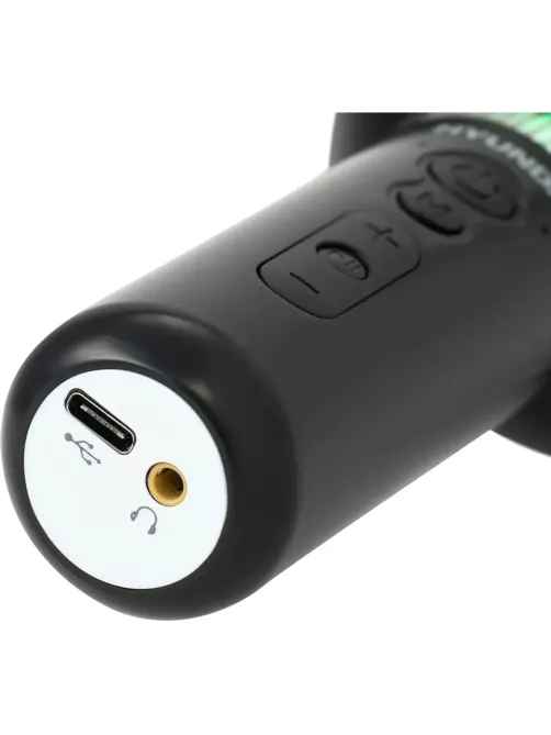 Микрофон Hyundai H-MIC101, черный, беспроводной