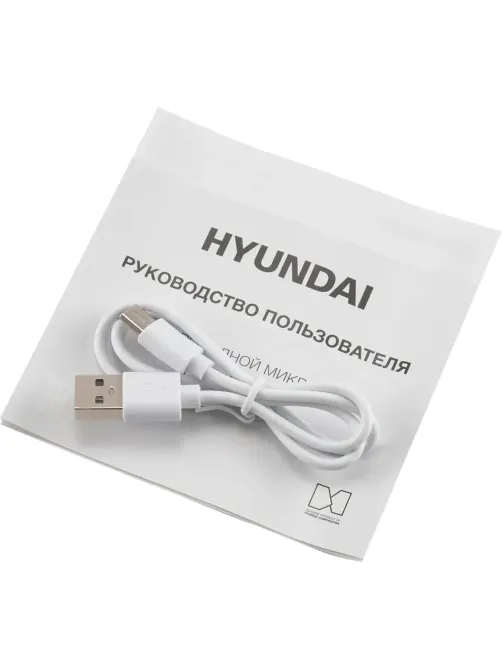 Микрофон Hyundai H-MIC101, черный, беспроводной