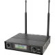 Радиосистема Axelvox DX800FK, 2-х канальная, 2 ручных мкф